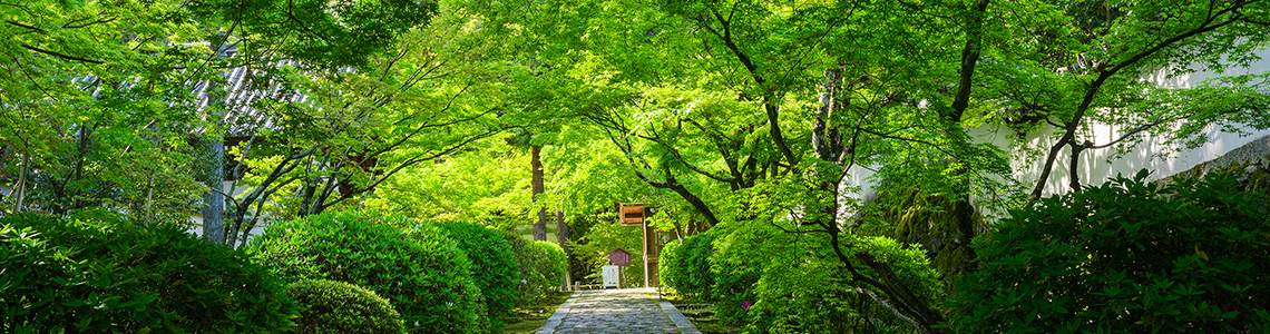 京田辺市の魅力