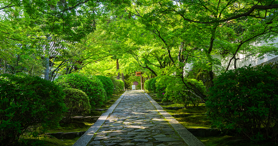 京田辺市の魅力